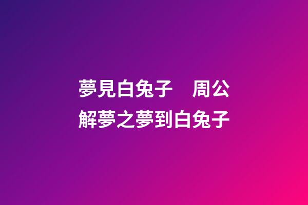 夢見白兔子　周公解夢之夢到白兔子